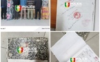 ZIGUINCHOR : Un vaste réseau de faux documents d’état civil démantelé par la Dnlt