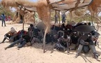 Émigration irrégulière : 66 personnes arrêtées par la gendarmerie