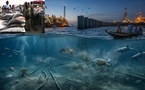 PÉTROCHIMIE OFFSHORE : Quand le mirage gazier menace de vider nos assiettes de thiof, dorades et capitaines