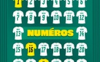 COUPE DU MONDE 2026 : Les numéros officiels des Lions dévoilés