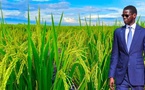 CAMPAGNE AGRICOLE 2026-2027 EN SURSIS : L’État dégaine un plan d’urgence de 130 milliards F Cfa pour sauver l’hivernage