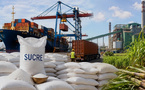 Le Ministère du Commerce ouvre le marché de l'importation du sucre à partir de demain