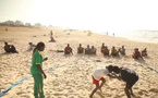 ​LA LUTTE SENEGALAISE : Entre chocs de géants et horizon olympique pour 2026