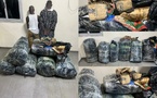La BR de la Gendarmerie de Keur Massar et  la Police  du côté de Kédougou,  ont frappé encore très fort : Plus de 300 kg de chanvre indien saisis à Thiaroye