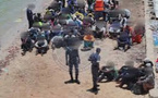 137 autres arrestations
