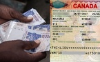 Thiès : 1 million FCFA pour un visa Canada, le rêve d’une jeune femme vire au cauchemar