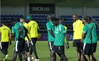 AU CŒUR DE LA PRÉPARATION MUSCLÉE DE L’EQUIPE DU SÉNÉGAL : Les Lions en salle pour l'explosivité 48h avant le Mozambique