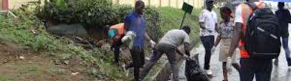 Éco-citoyens:Comment organiser une opération de ramassage des déchets sur la voie publique chaque dimanche?