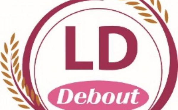PROJET DE DECOUPAGE ADMINISTRATIF  La Ld Debout tire sur l’Etat et parle de stratégie électorale