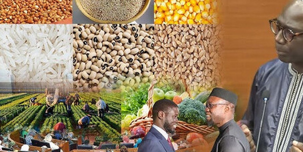 CHEIKH DIBA LORS DU VOTE DU BUDGET DU MINISTERE DE L’AGRICULTURE … : « La solution de l’agriculture n’est pas toujours budgétaire, il faut réussir le pari du rendement »