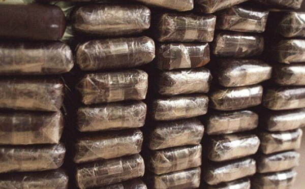 SAISIE DE DROGUE EN GAMBIE : Plusieurs Sénégalais interpellés dans une vaste opération antidrogue