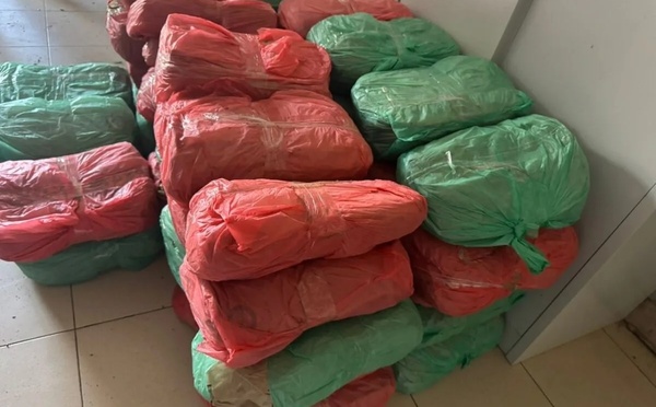 TRAFIC DE DROGUE A APIX KEUR MASSAR 56 kg de cannabis découverts dans un poulailler