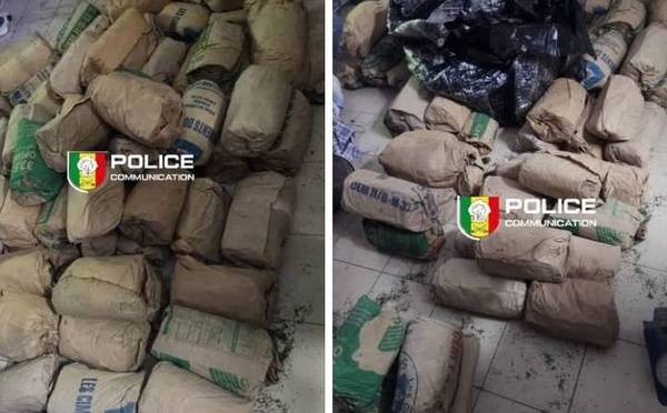 SAISIE DE 118 KG DE CHANVRE INDIEN A THIAROYE : La Brs frappe fort et démantèle un réseau important de la banlieue