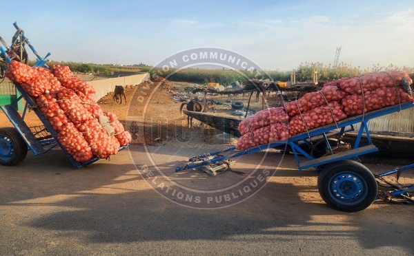 11 personnes arrêtées pour trafic de produits agricoles