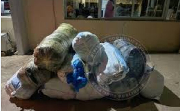 Mbour : Plus de 800 kg de chanvre indien saisis par la gendarmerie