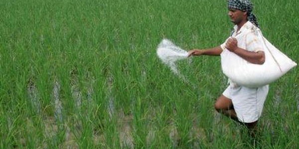 Engrais : l’Inde lorgne aussi l’Afrique pour diversifier son approvisionnement