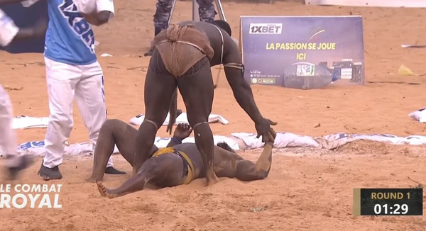 SACRE ECLAIR A L’ARENE NATIONALE : UN REGNE S’EFFONDRE, UNE LEGENDE NAIT Sa Thiès foudroie Modou Lô en 1mn30 et s’empare du trône