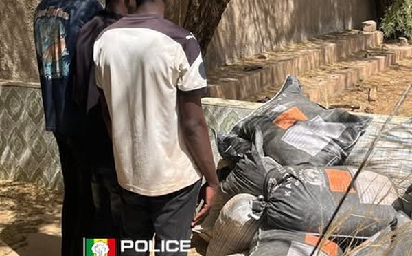 Sécurisation des frontières : Importante saisie de produits toxiques par le Commissariat Spécial de Kidira