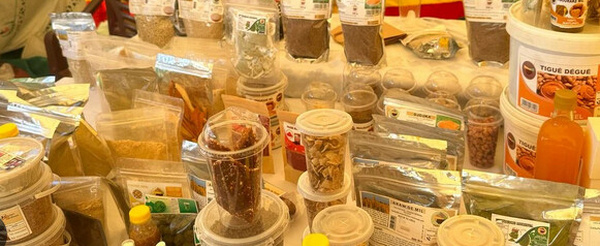 FORUM DES SAVOIRS SUR LES PRODUITS LOCAUX : Prix, accessibilité, compétitivité, ces freins au consommer local