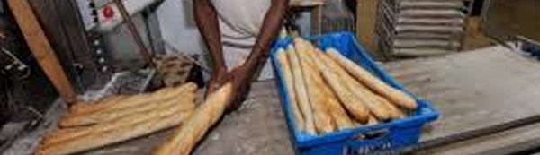 Contrôle des boulangeries : le service d'hygiène tape fort