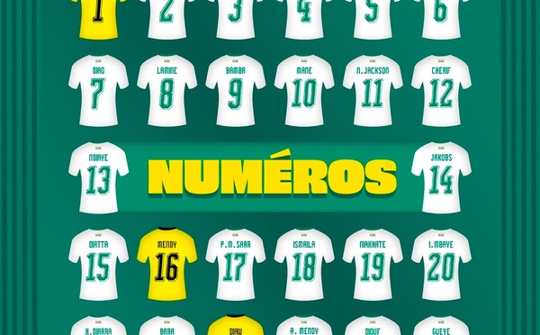 COUPE DU MONDE 2026 : Les numéros officiels des Lions dévoilés