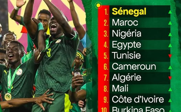 CLASSEMENT FIFA : ALERTE ROUGE La chute continue pour les Lions