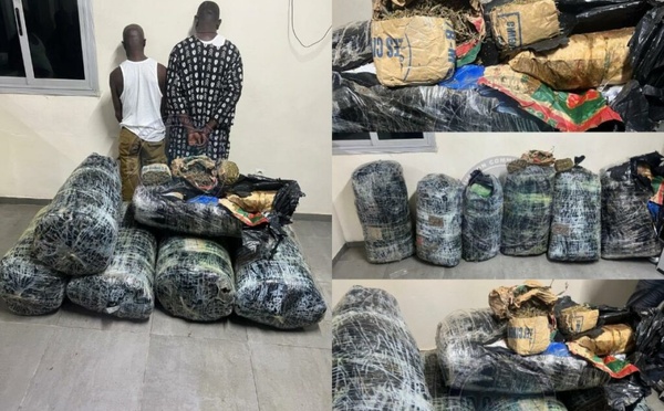 La BR de la Gendarmerie de Keur Massar et  la Police  du côté de Kédougou,  ont frappé encore très fort : Plus de 300 kg de chanvre indien saisis à Thiaroye