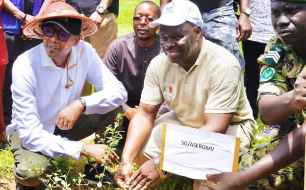 JOURNEE NATIONALE DE L’ARBRE A Tambacounda, Alpha Thiam lance l’alerte sur le « massacre » des forêts