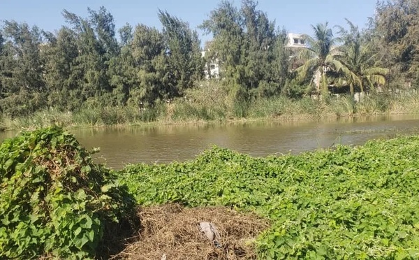 LITIGE SUR UN TERRAIN SIS AUX MARISTES : Khadim Bâ, Amadou Ba, le notaire Papa Sambaré Diop, l’avocat Papa Mouhamadou Lô visés par une plainte à la SU