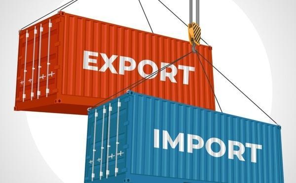 COMMERCE EXTERIEUR AU MOIS DE JUILLET : 2026 Les prix des produits importés en baisse de -4,3%