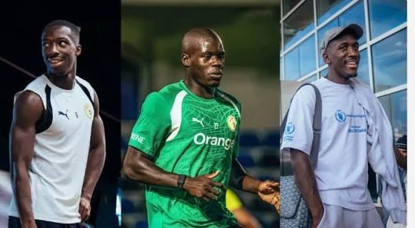 RENFORCEMENT DE LA TANIÈRE : La Fifa officialise l'éligibilité de Malang Sarr, Lamine Sy et Rassoul Ndiaye avec le Sénégal