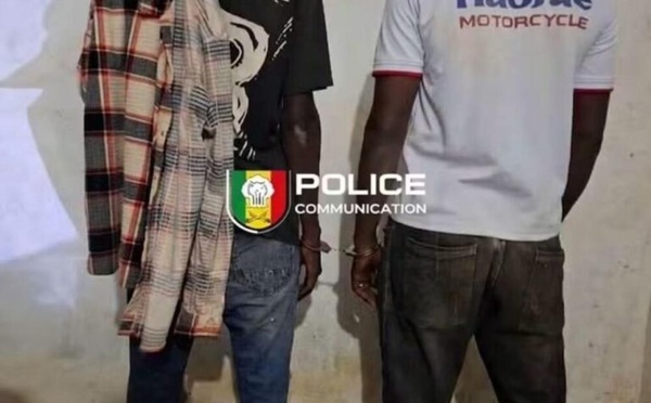 Kédougou : deux individus arrêtés en possession de 3900 comprimés de Tramadol