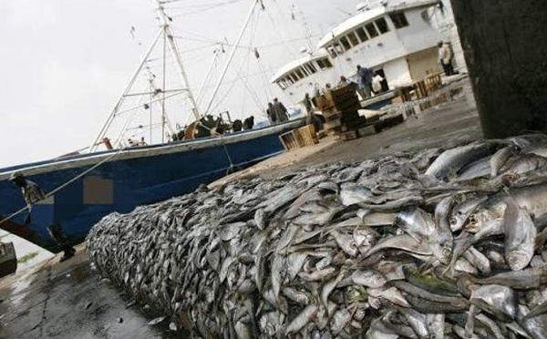 Affaire des licences de pêche : la commission d’enquête parlementaire démarre aujourd’hui