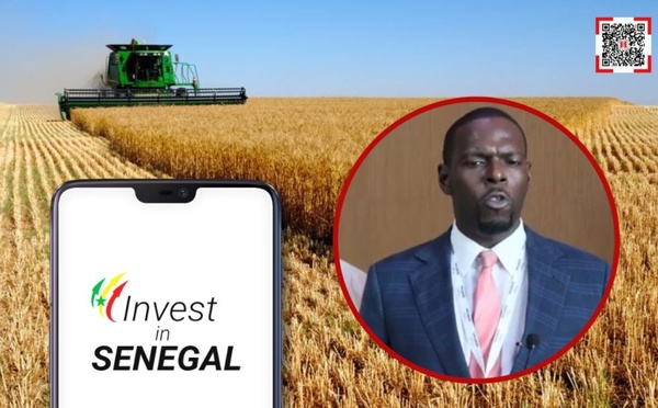MOUHAMED SALL LORS DE L'ATELIER FLOUR RISING AFRICA « Le blé cultivé au Sénégal est aussi compétitif que le blé importé »