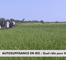 AUTOSUFFISANCE EN RIZ AU SENEGAL une priorité pour l'état du sénégal : Quel rôle pour Matam  ?