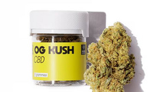 LUTTE ANTIDROGUE EN GAMBIE : Quatre Sénégalais arrêtés dans la vague d’interpellations liées au “kush”