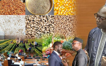 CHEIKH DIBA LORS DU VOTE DU BUDGET DU MINISTERE DE L’AGRICULTURE … : « La solution de l’agriculture n’est pas toujours budgétaire, il faut réussir le pari du rendement »