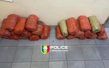 Saisie de 24 kg de chanvre indien à Sirmang, région de Fatick par la Brs