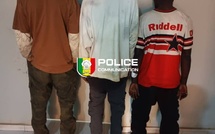 BANDITISME  À ZAC MBAO : Des agresseurs récemment élargis de prison attaquent une dame attaquée au couteau devant son domicile