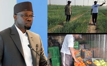 Sonko aux… champs pendant le speech de Diomaye lol