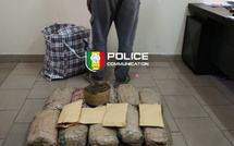 Saisie de 10,5 kg de chanvre indien à Sacré-Cœur