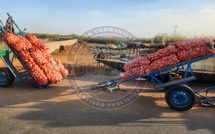 11 personnes arrêtées pour trafic de produits agricoles