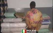 SEDHIOU : 80 kg de chanvre indien saisis par l’Ocrtis à la veille de la Korité