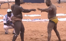  Journée Albourakh Évents 05 Avril 2026 : Sa Thiès détrône Modou Lô et devient le nouveau roi des arènes