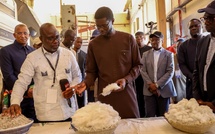 TOURNÉE ÉCONOMIQUE DANS LE FOULADOU : Bassirou Diomaye Faye en immersion territoriale et relance des secteurs clés