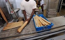 Contrôle des boulangeries : le service d'hygiène tape fort