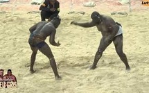 LUTTE SENEGALAISE – FESTIVAL INTERNATIONAL A PARIS : Gris Bordeaux piège Siteu et s’impose par avertissements