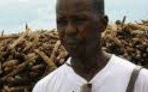 Nécrologie : Le PDG de TSE, Cheikh Amar en deuil