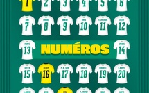 COUPE DU MONDE 2026 : Les numéros officiels des Lions dévoilés