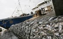 Affaire des licences de pêche : la commission d’enquête parlementaire démarre aujourd’hui